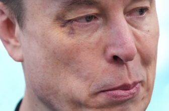 This is the Entrance-Runner to Play Elon Musk in Luca Guadagnino’s AI Film