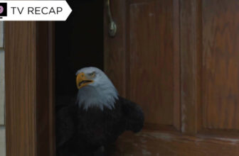 ‘Peacemaker’ Lastly Gave Its Finest Boy His Large Hero Second