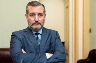 Ted Cruz Desires to Assist AI Corporations Duck Laws