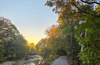 The Little Issues Publication #491 – Life, laughter, and plenty of nice meals!