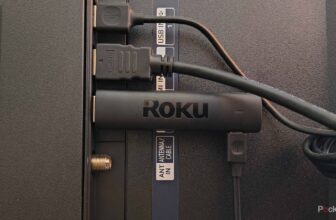 That is greatest mistake new Roku house owners make
