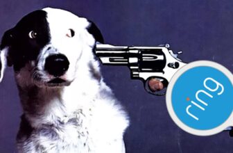 Amazon’s Ring Desires to Wash Away Your Surveillance Considerations With Misplaced Puppies