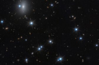 This Galaxy Is 99% Darkish Matter—and Principally Invisible